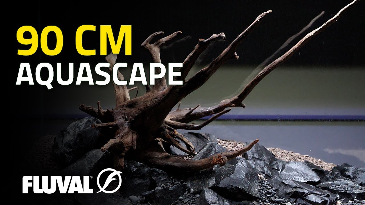 AQUASCAPING TIMELAPSE | 90P Nature Aquarium Setup