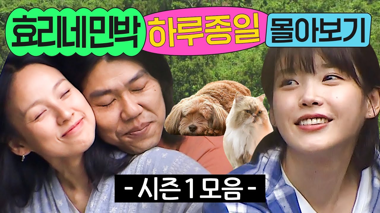 ⭐8시간⭐ ≪효리네 민박 시즌 1≫ 1화부터 마지막 화까지 몰아보기💨｜효리네 민박｜JTBC 170924 방송 외