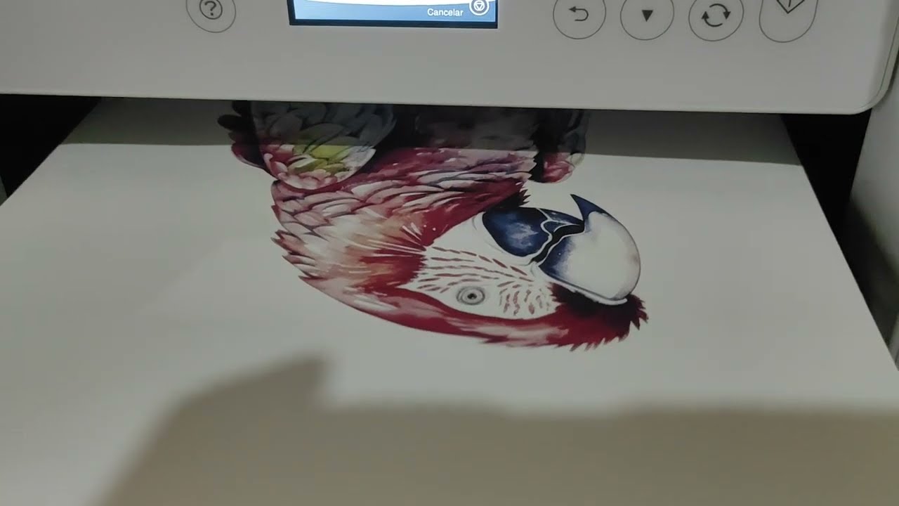 Funcionamiento Epson F170 - video 1