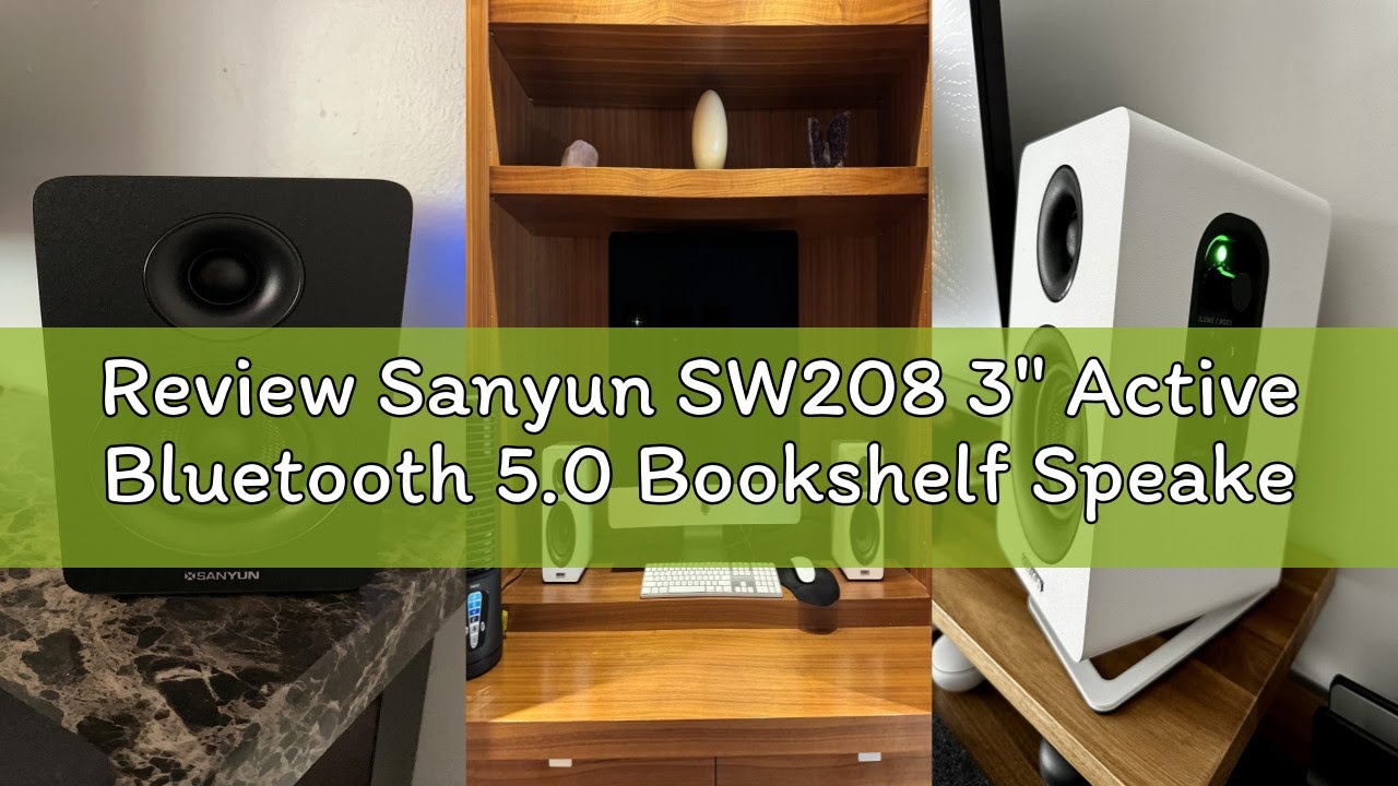 Review Sanyun SW208 3