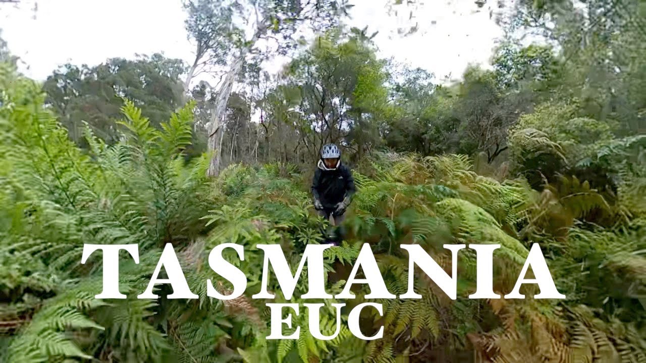Electric Unicycle Trip - Tasmania - Forrest Trail