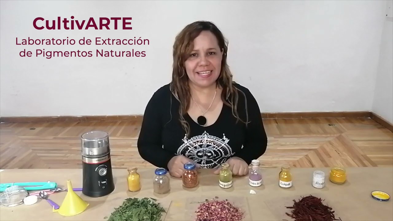Laboratorio de extracción de pigmentos naturales, sesión 5
