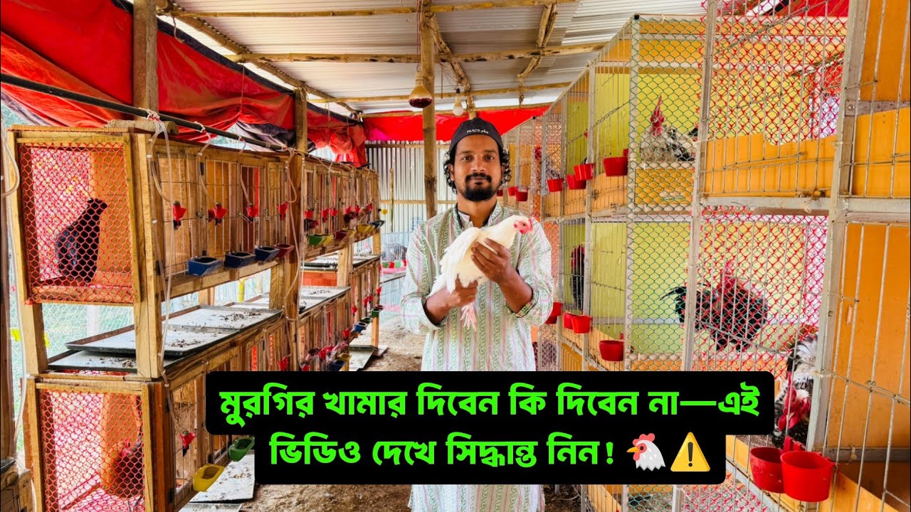 মুরগির খামার দিবেন কি দিবেন না—এই ভিডিও দেখে সিদ্ধান্ত নিন! 🐔⚠️