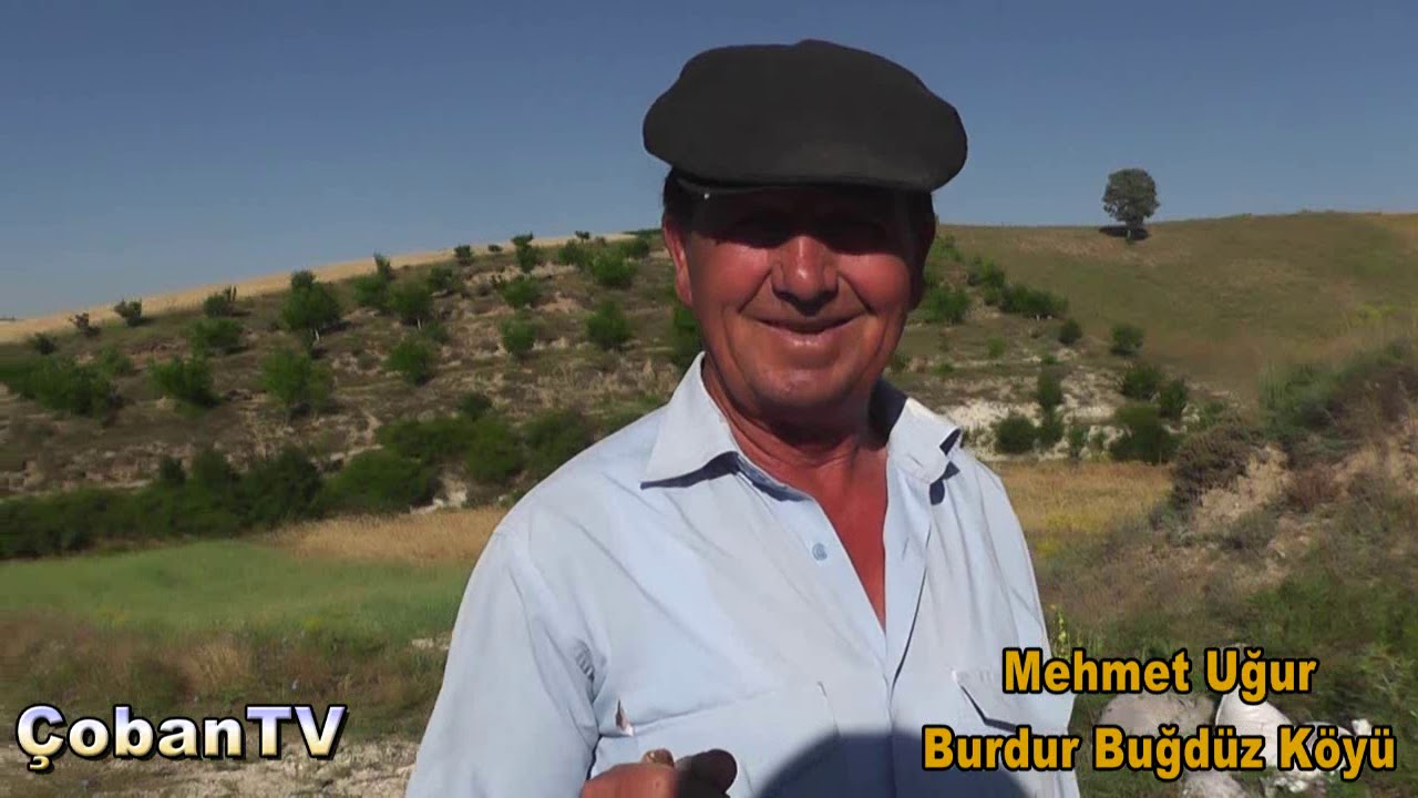 Çobanla Başbaşa. Burdur Büğdüz Köyü. Koyun Çobanı Mehmet Uğur 0537 880 2730