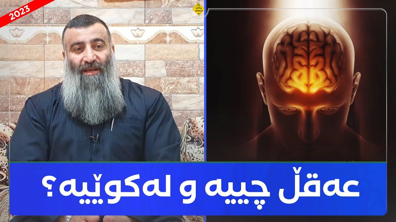 عەقڵ چییە و چۆنە و لەکوێیە؟! مامۆستا هەڵۆ mamosta halo