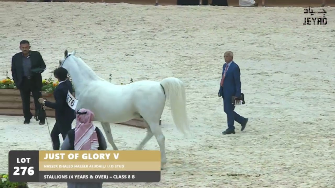 JUST OF GLORY V