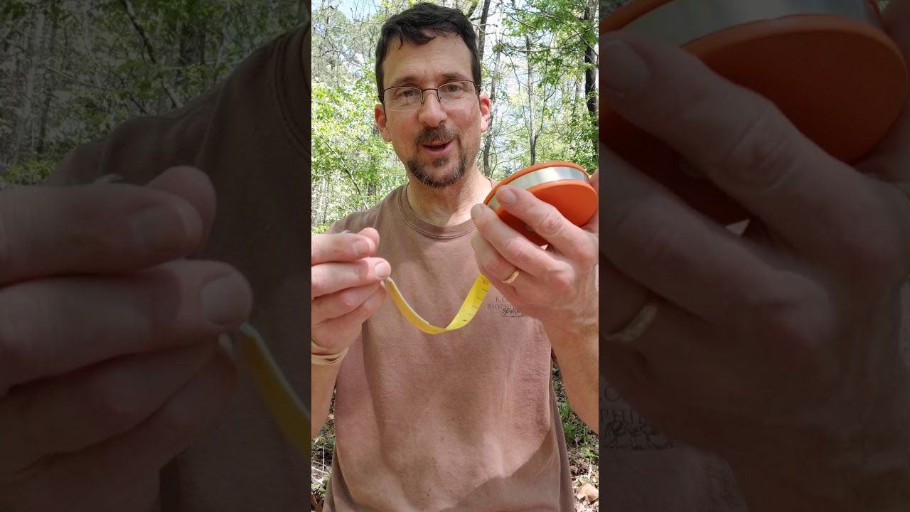 Setting up tree sampling quadrats - part I