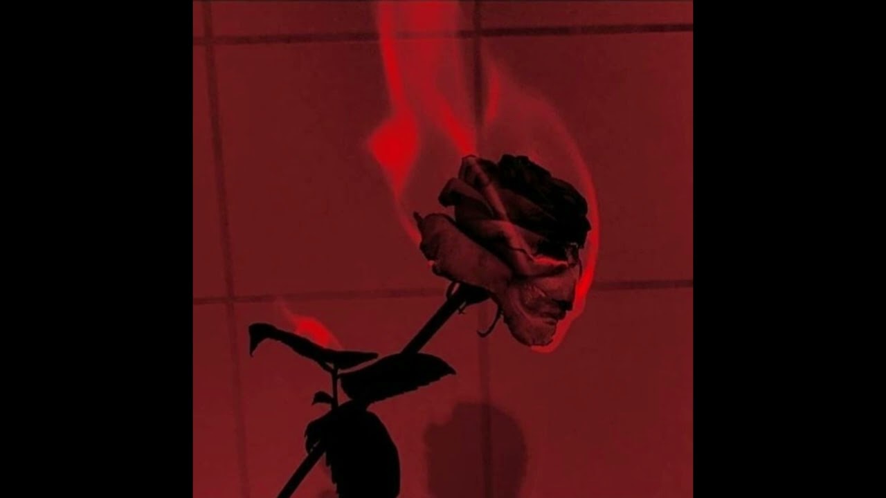 Chris Brown- (next time)
