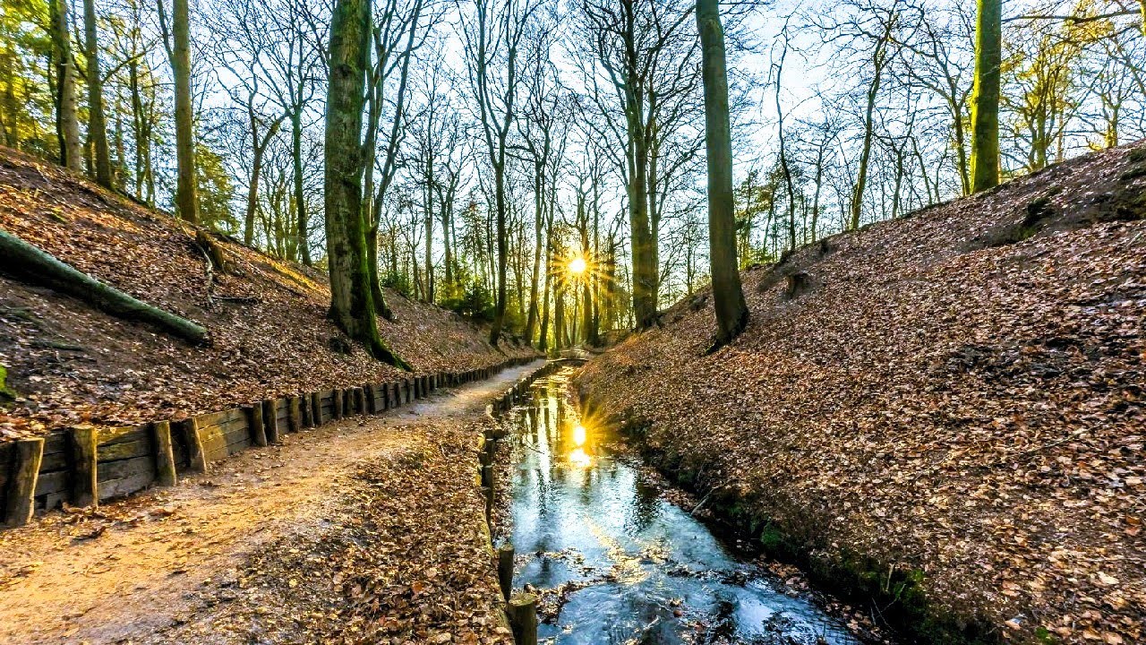 *HIKING* Weekly Walks - Velp (Posbank, National Park Veluwezoom)