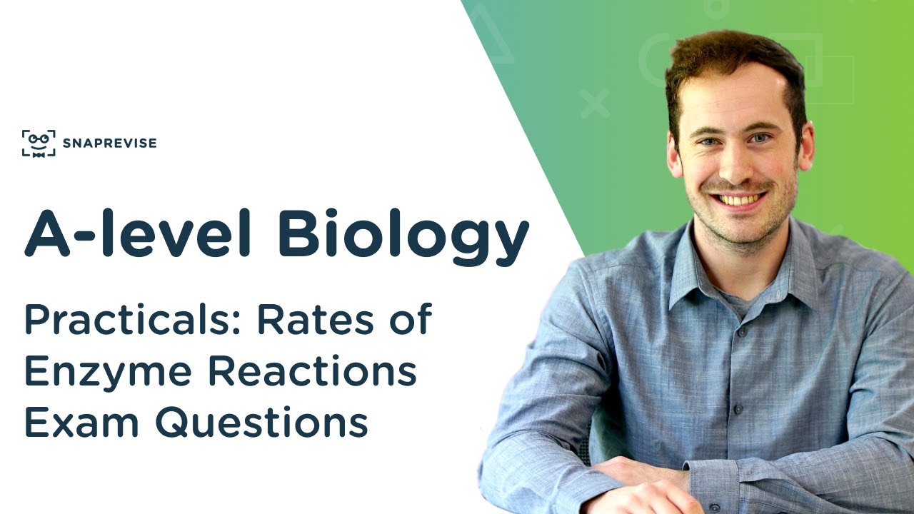 Practicals: Rates of Enzyme Reactions Exam Questions | A-level Biology | OCR, AQA, Edexcel