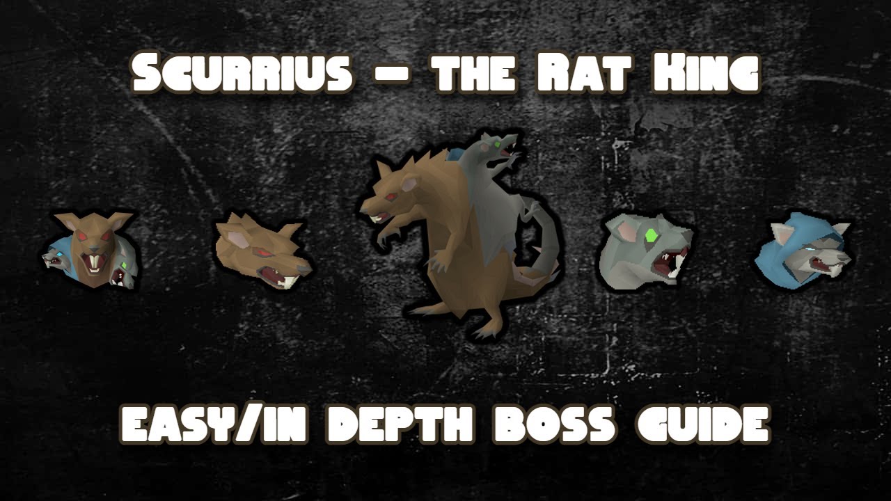 Scurrius - Boss guide - OSRS