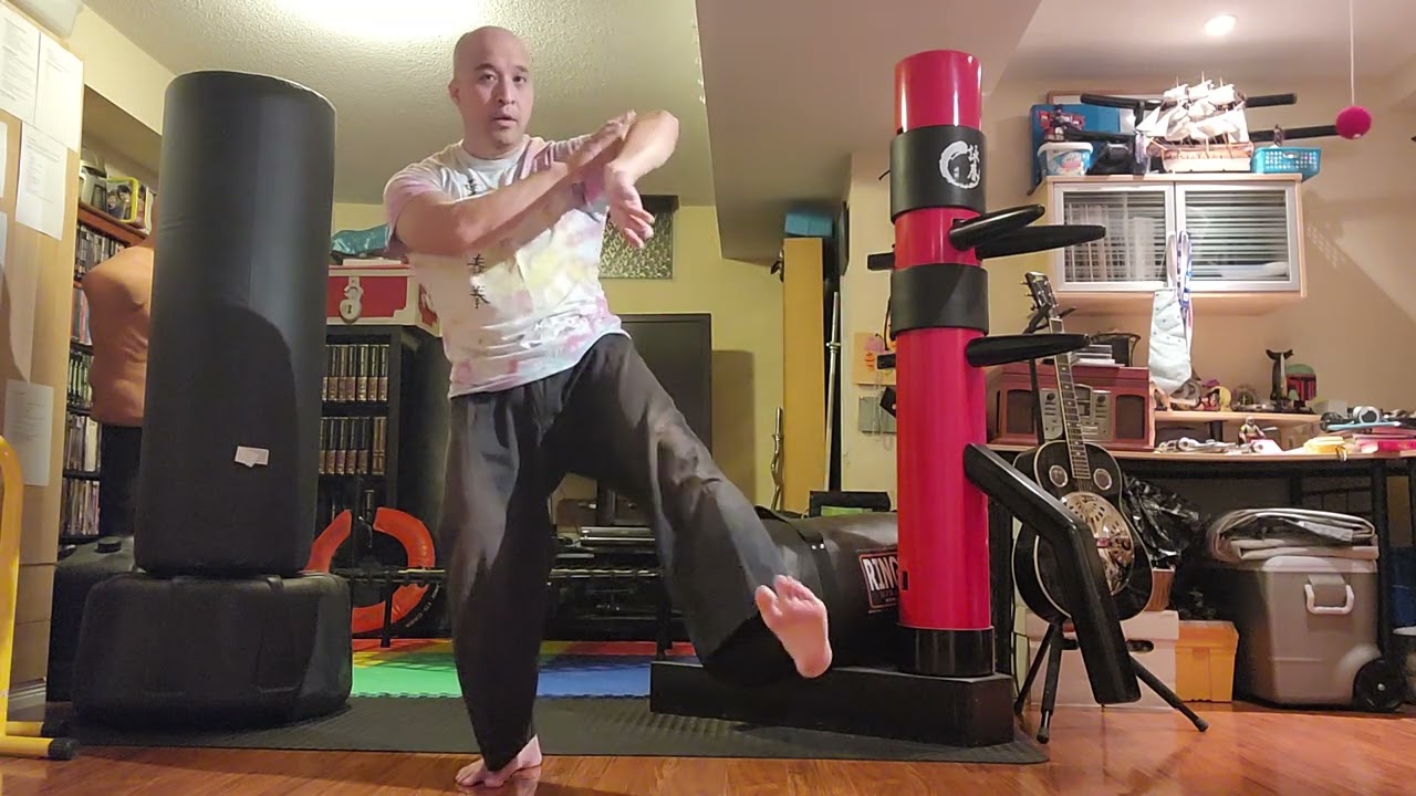 COMBAT SATURDAY - WING CHUN KICKS!