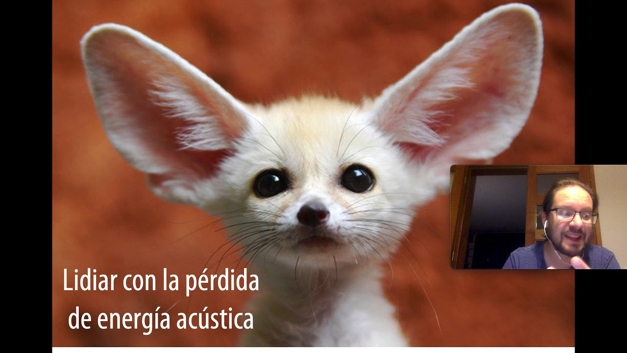 Fisiología Auditiva 1 de 2