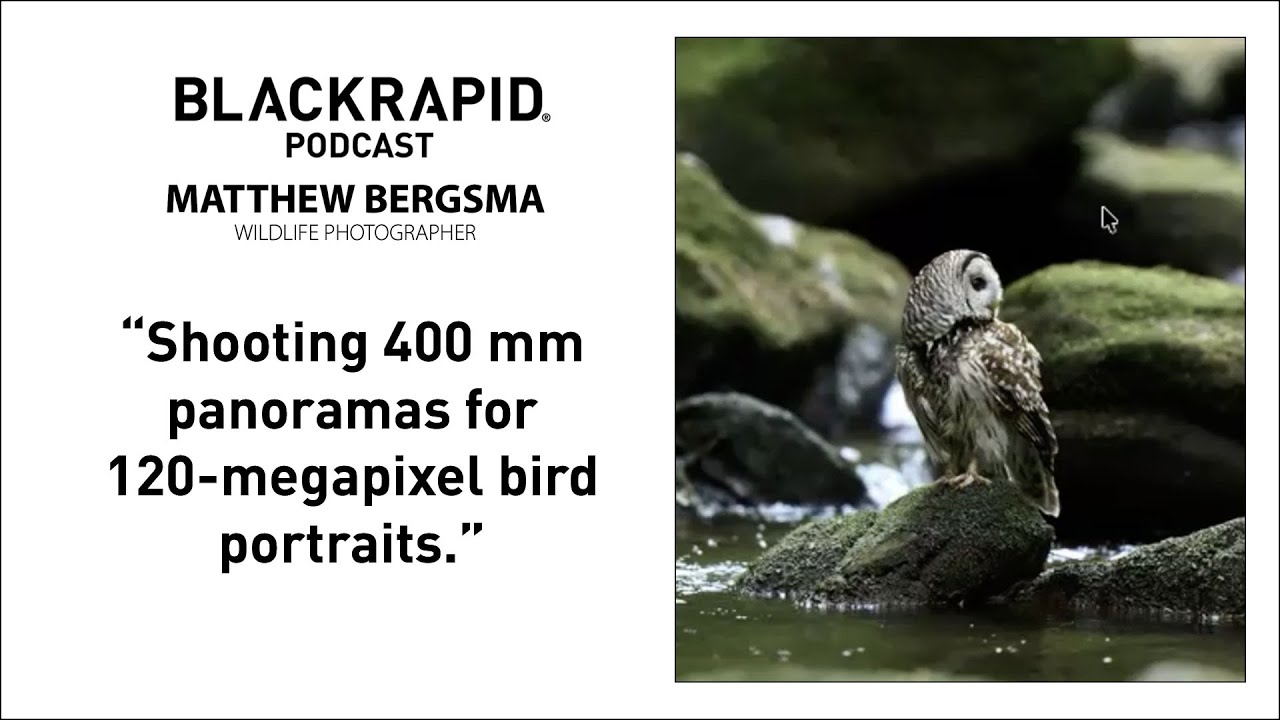 Мэтью Бергсма, фотограф-орнитолог и дикая природа – Подкаст Clip 2 BLACKRAPID