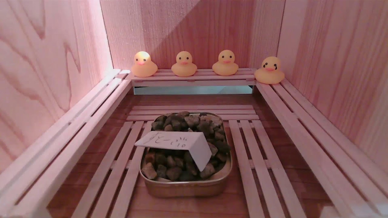 サウナゆげ蔵リアルタイム混雑情報【第2サウナ室ライブカメラ】