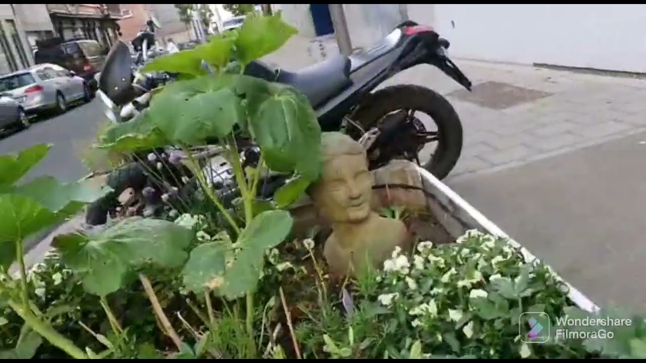 لي قنط يجي يضرب معايا دويرة ههههه