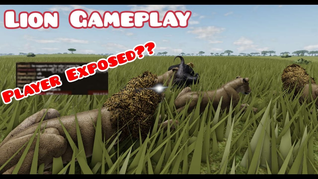 Wild Savannah | Player Exposed?? | Lion Gameplay
