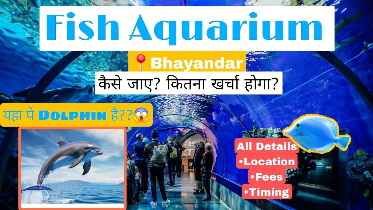 Newly open underwater tunnel in bhayandar full vlog #vlog #underwatertunnel #thane