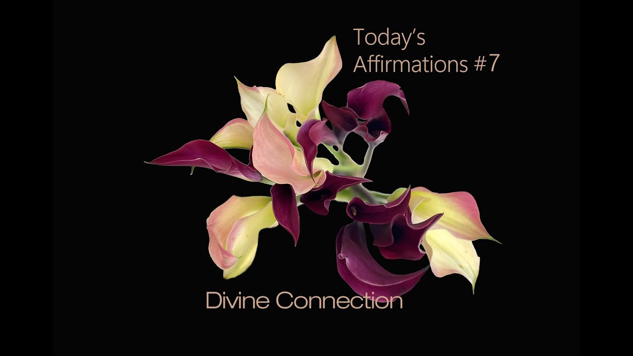 Today’s Affirmations #7 : Divine Connection