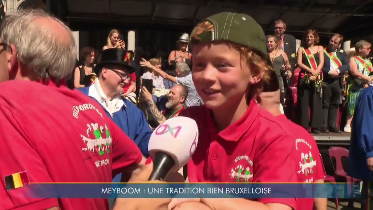 Le 714e Meyboom a été planté à temps : le folklore de l'Arbre de joie a repris vie dans la capitale