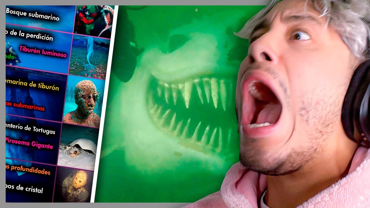 MAAU REACCIONA AL ICEBERG DE DESCUBRIMIENTOS EN EL OCÉANO 😮