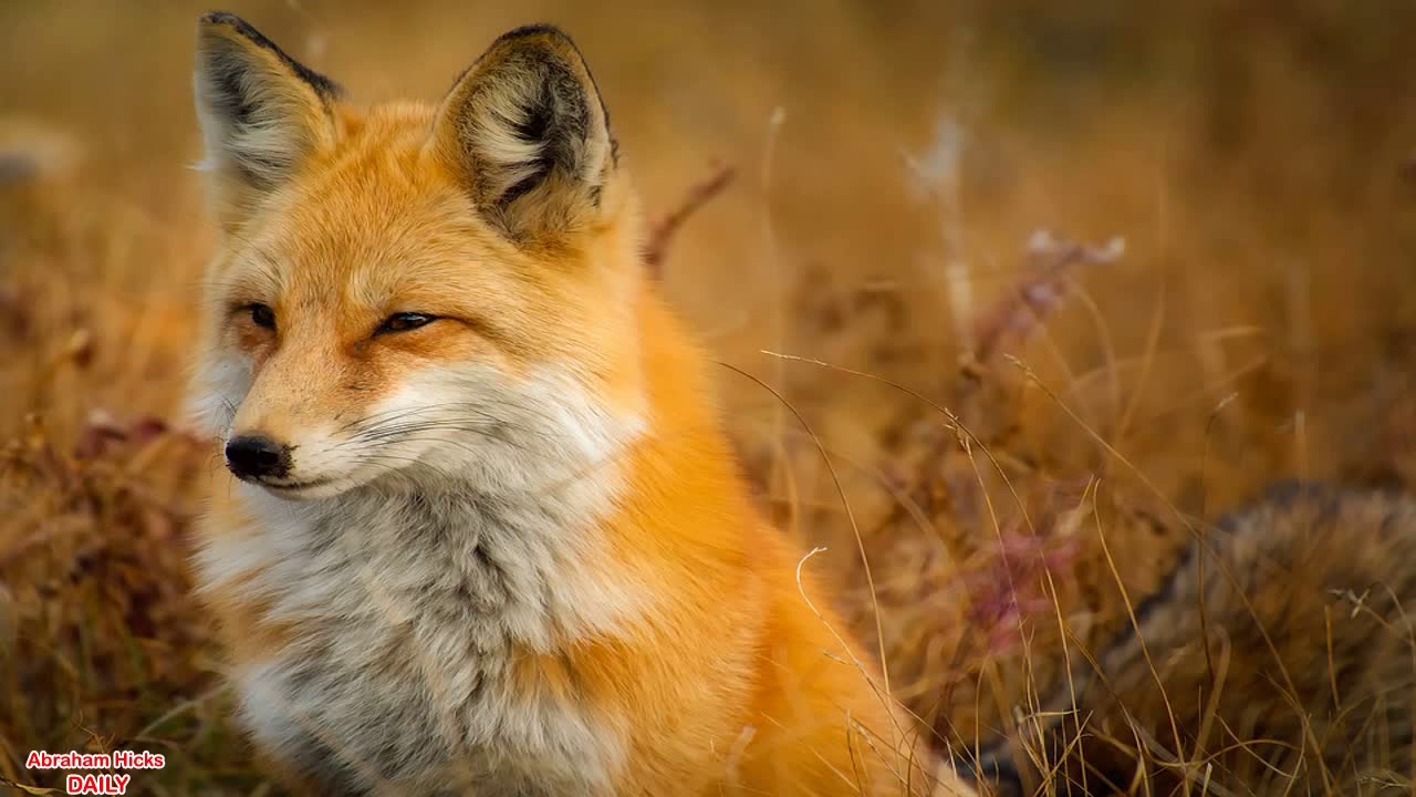 Abraham Hicks  ~  Abraham I NEED It, Im BROKE, Now What