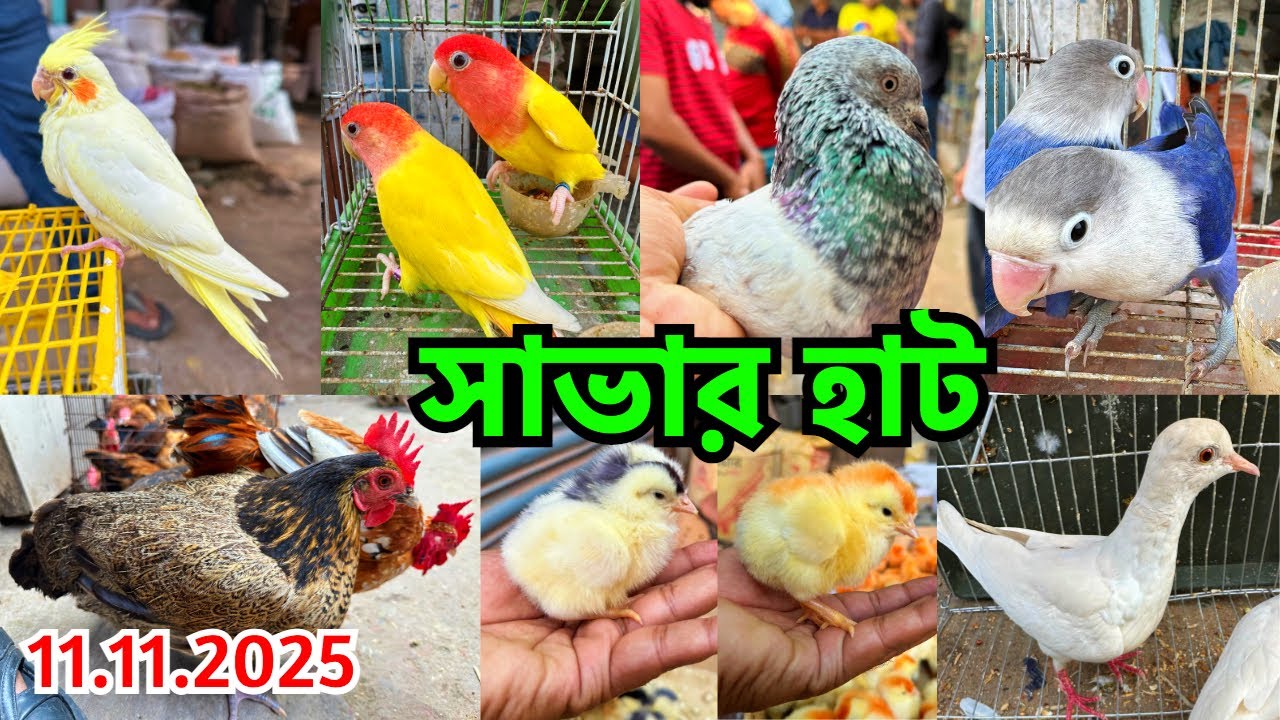 হাটের অবস্থা জীবিত থেকেও মৃত | পোষা প্রাণীর দাম জানুন | সাভার হাট | Savar Pet Market, Dhaka #845