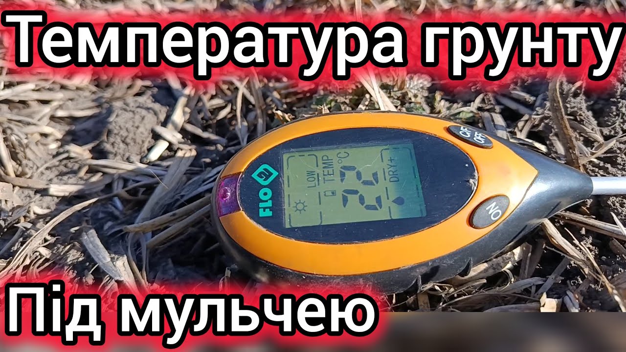 11.03.26. Вплив мульчі, чи залишків рослинності, на прогрівання грунту. Чому мульча іноді шкодить.