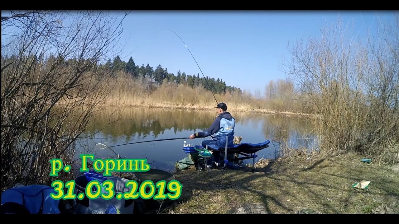 Оце так кльов!!! Фідерна рибалка на р. Горинь 31.03.2019