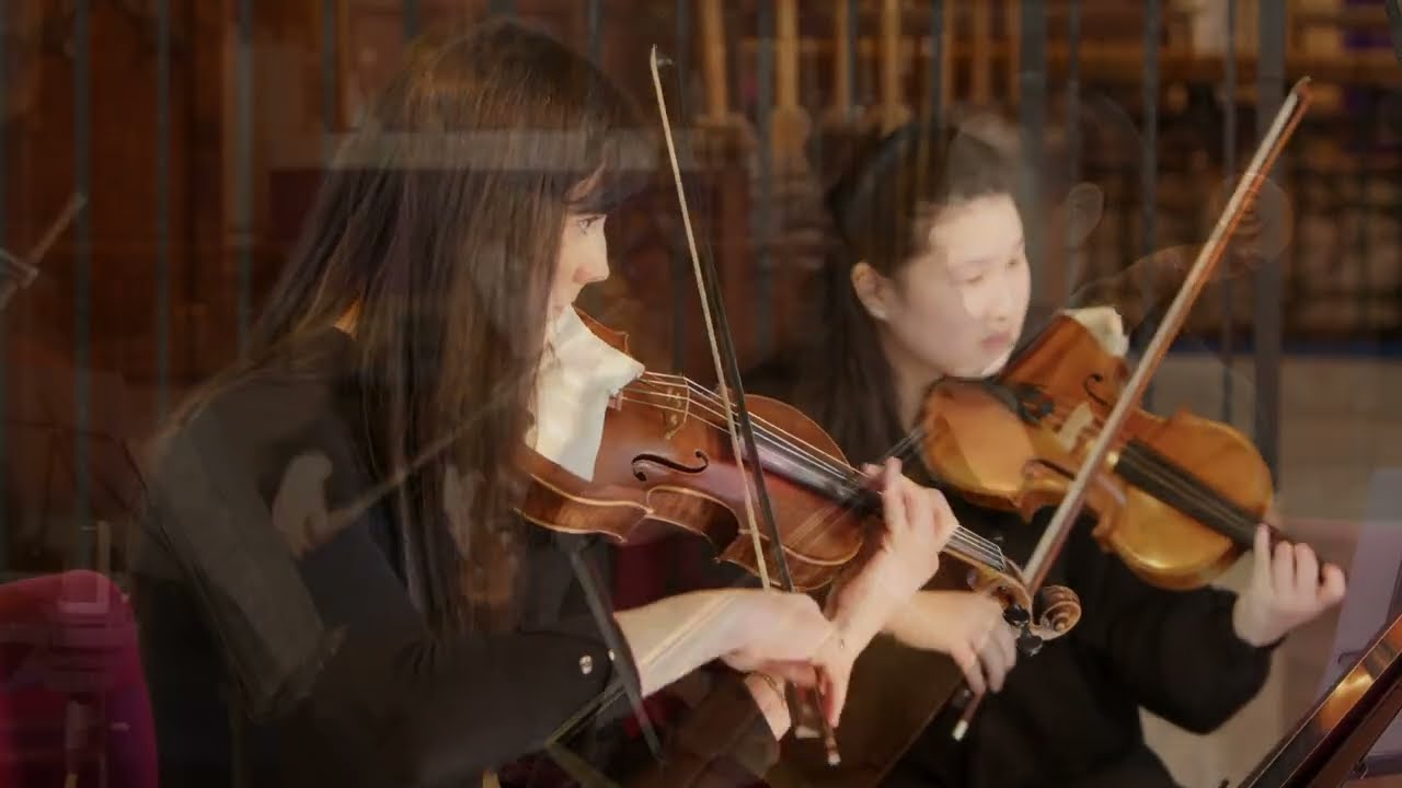 Johannes Brahms String Quintet no 2 Op 111 in G Major 3rd Movement
