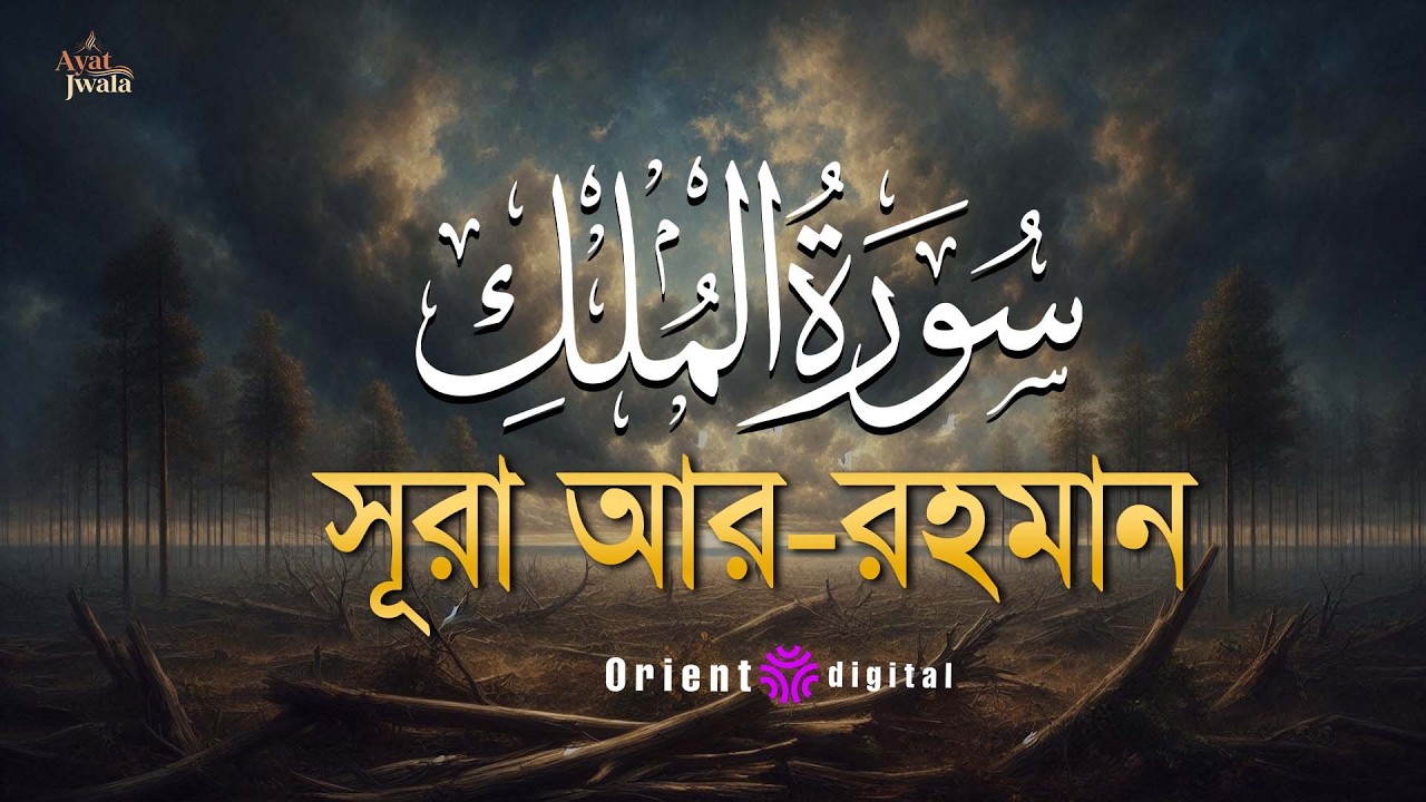 প্রশান্তিময় ঘুমের জন্য শুনুন সূরা মূলক (سورة الملك) | Recitation of Surah Al-Mulk | Omar Essam
