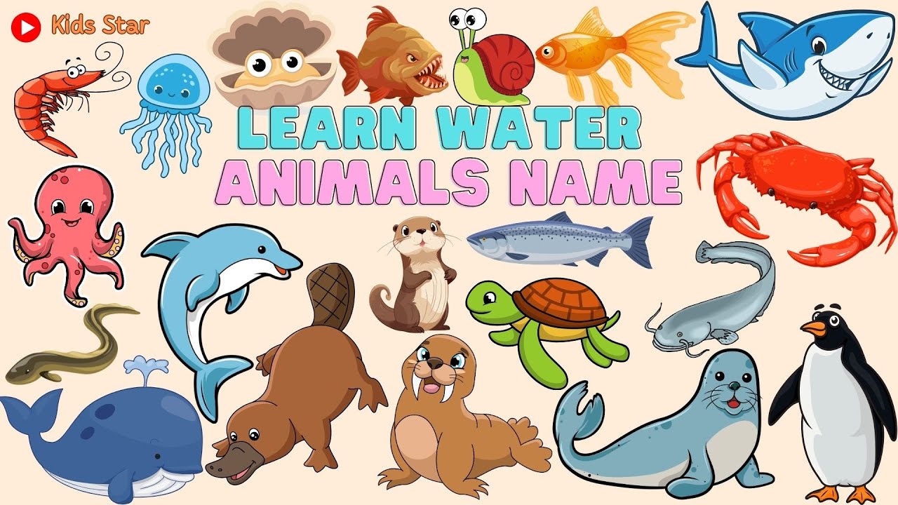 BELAJAR MENGENAL NAMA-NAMA HEWAN AIR BAHASA INDONESIA - BAHASA INGGRIS | LEARNING WATER ANIMALS NAME