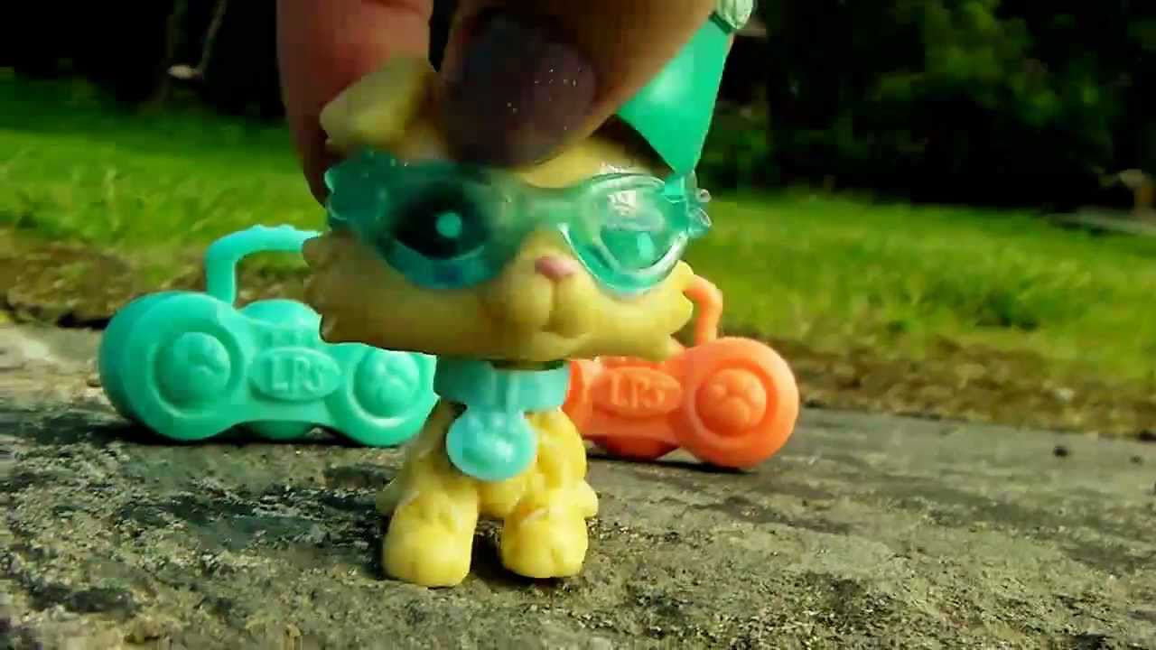 Party's In My Head - LPS Music Video