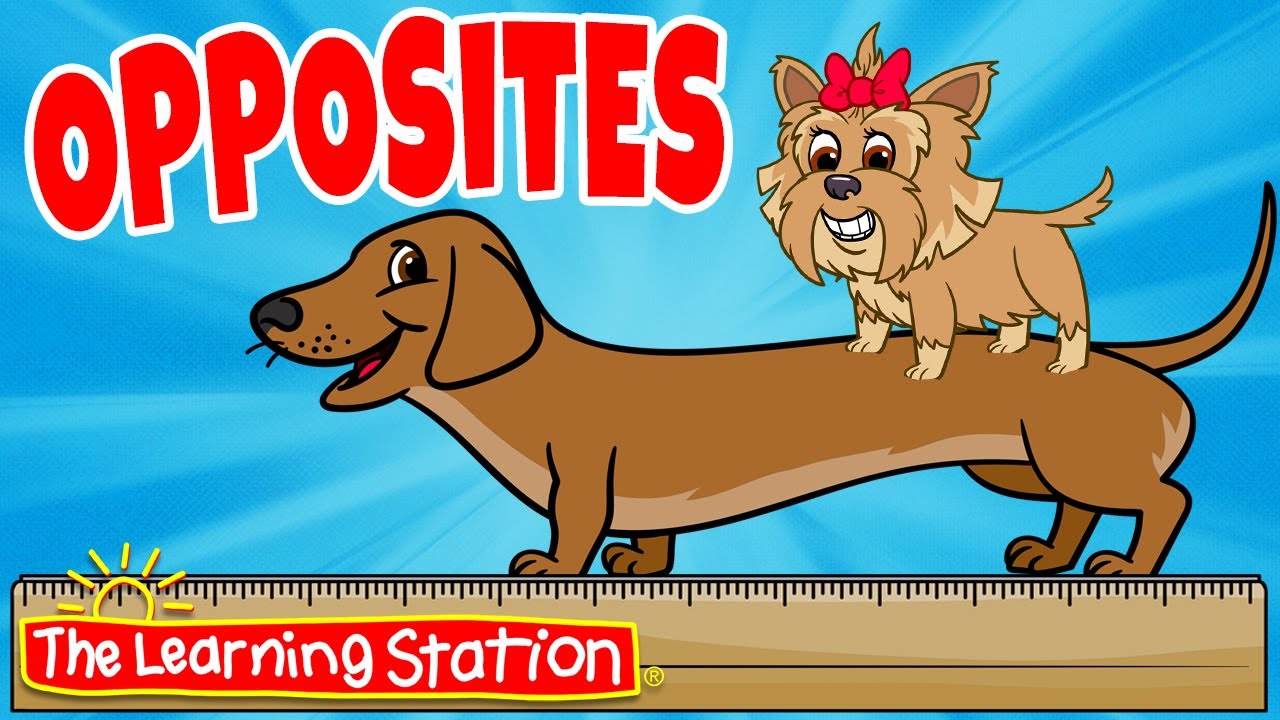 Opposites ♫ Opposites Song ♫ Kids Songs by The Learning Station