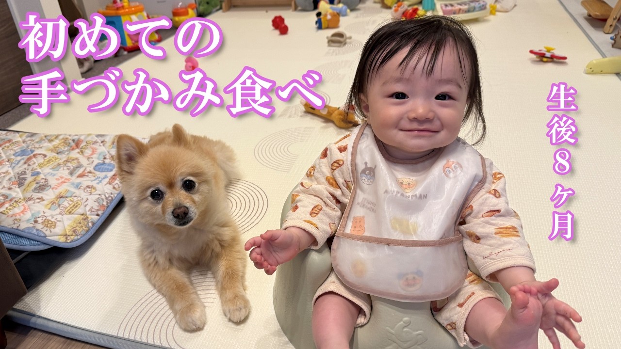 【生後8ヶ月】初めての手づかみ食べに挑戦する赤ちゃん