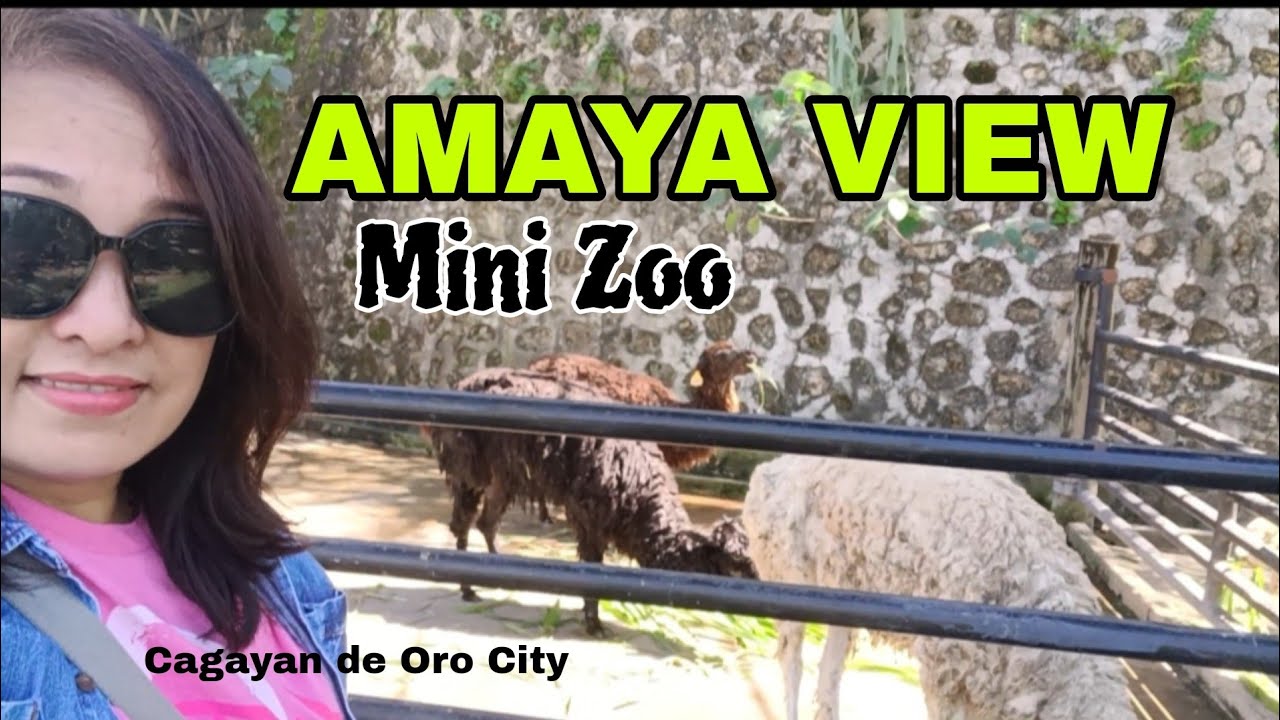 AMAYA VIEW'S MINI ZOO/Cagayan de Oro City