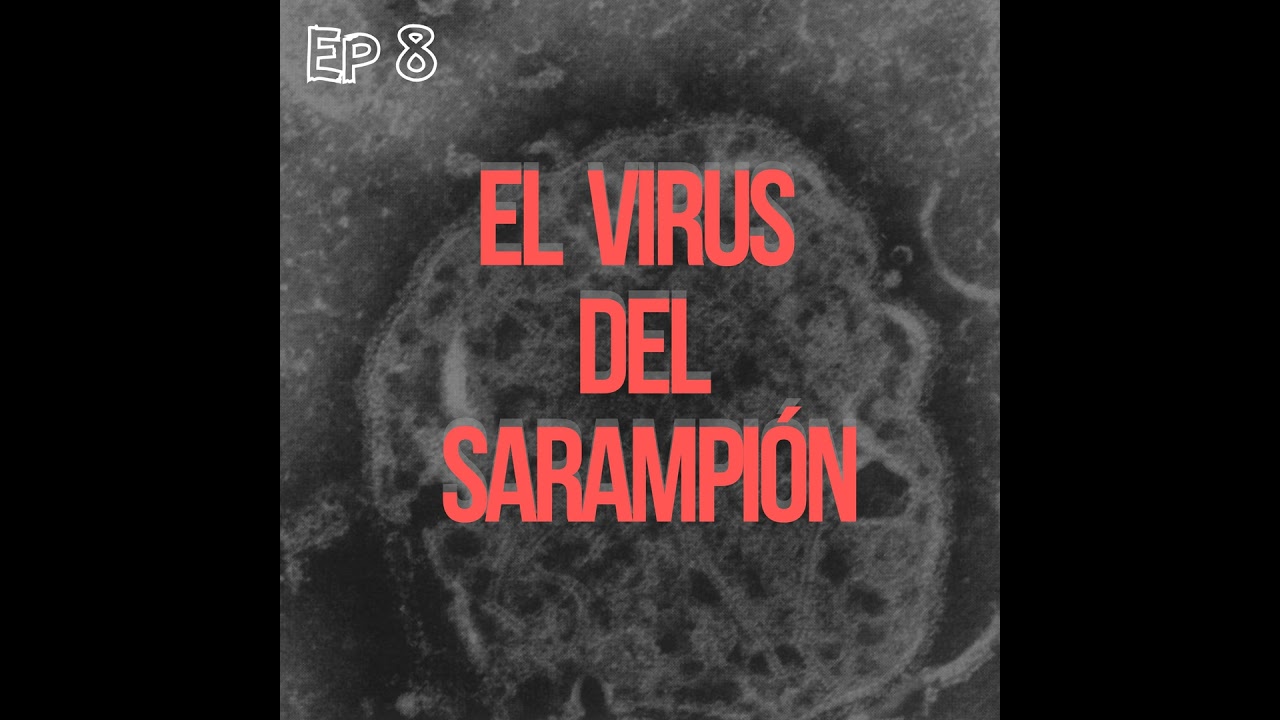 El virus del sarampión explicado: ¿cómo infecta el virus y por qué es tan contagioso?