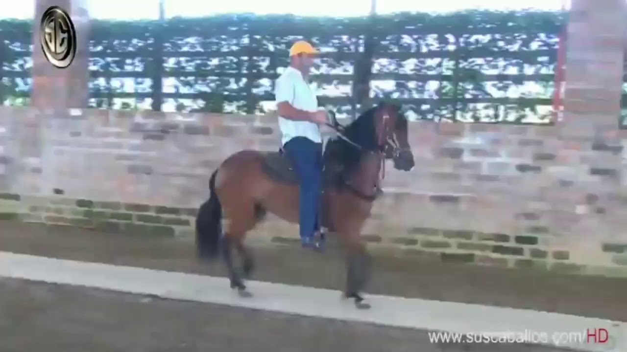 TRIPLETA DE SANTA ISABEL