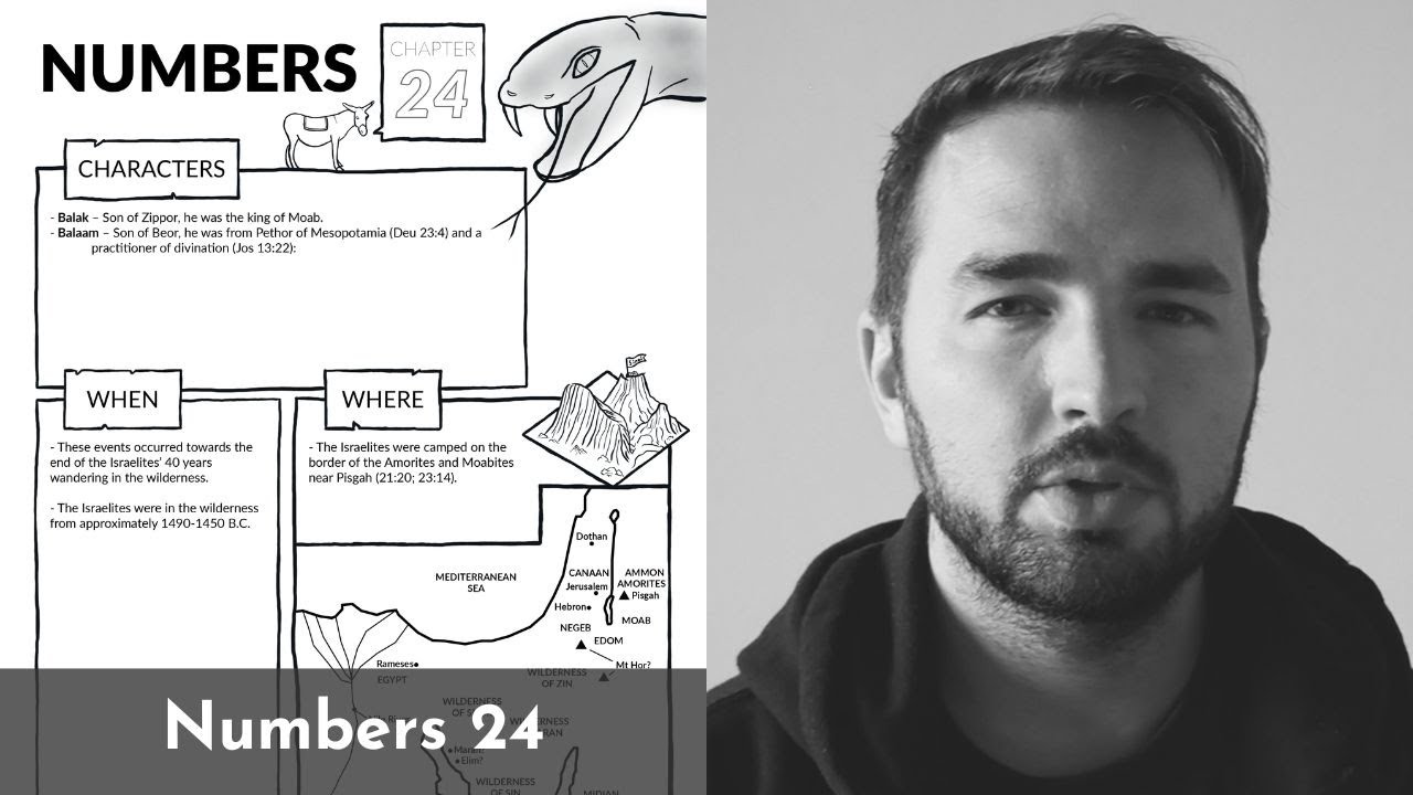 Обзор Numbers 24: краткий обзор за 5 минут