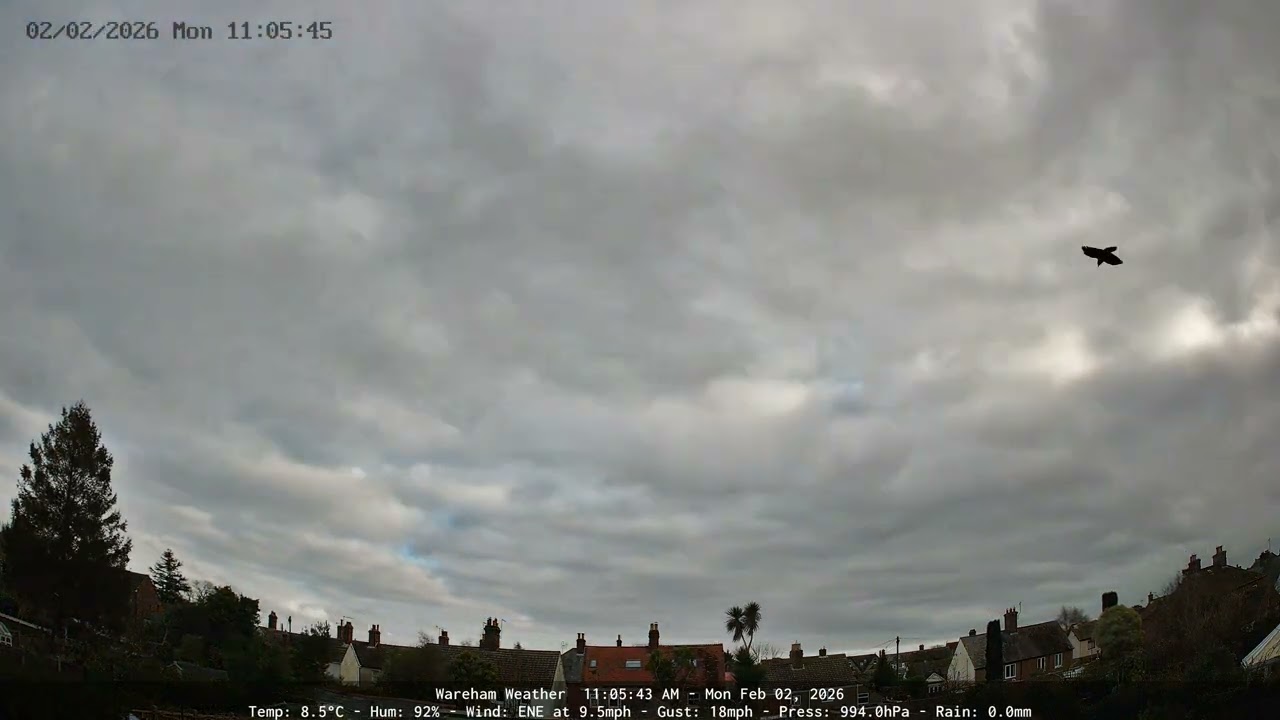 Wareham - Daily Time-lapse - 02/02/2026