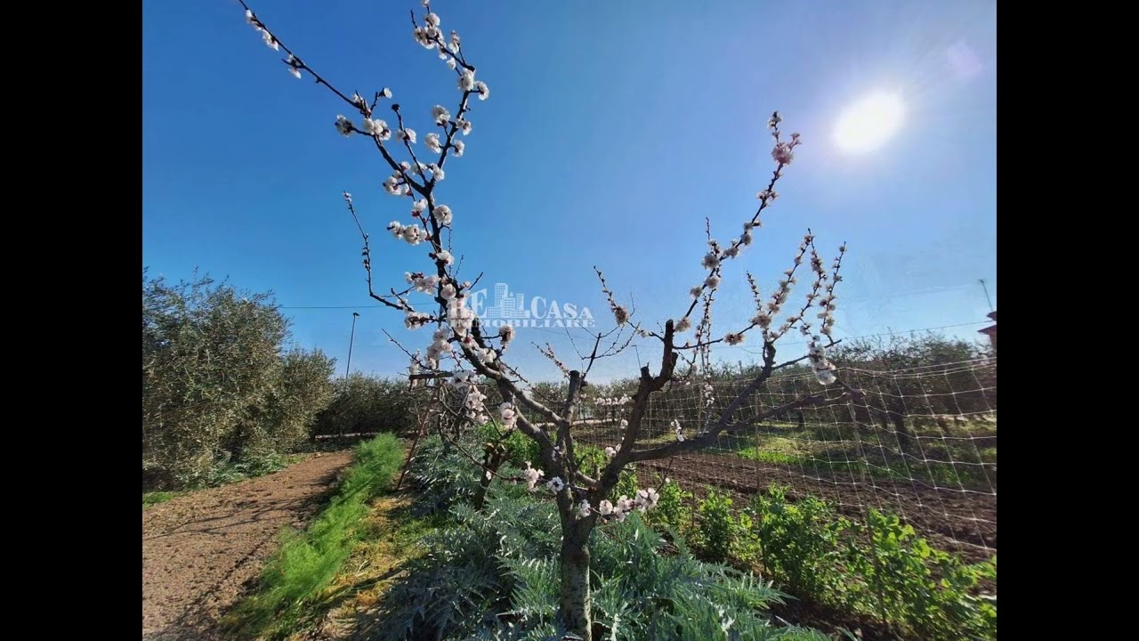Terreno agricolo in Vendita a San Benedetto del Tronto (AP)