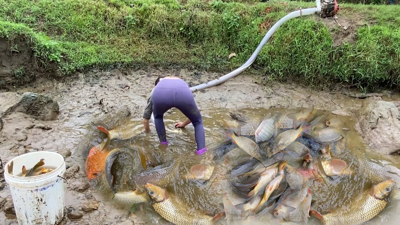 Catch BIG Fish with a Pump Easily in Rivers and Lakes