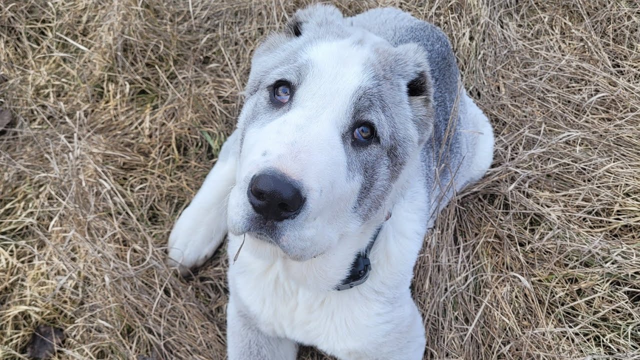 ДЕНЬ #4.УТРЕННЯЯ ПРОГУЛКА. 