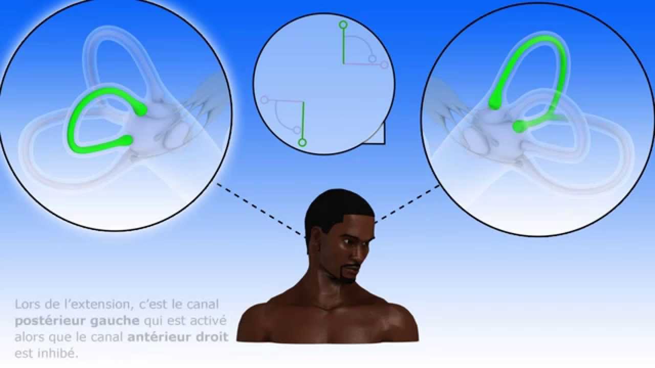Vidéo remplacée par : https://youtu.be/kU5yTgAirW8