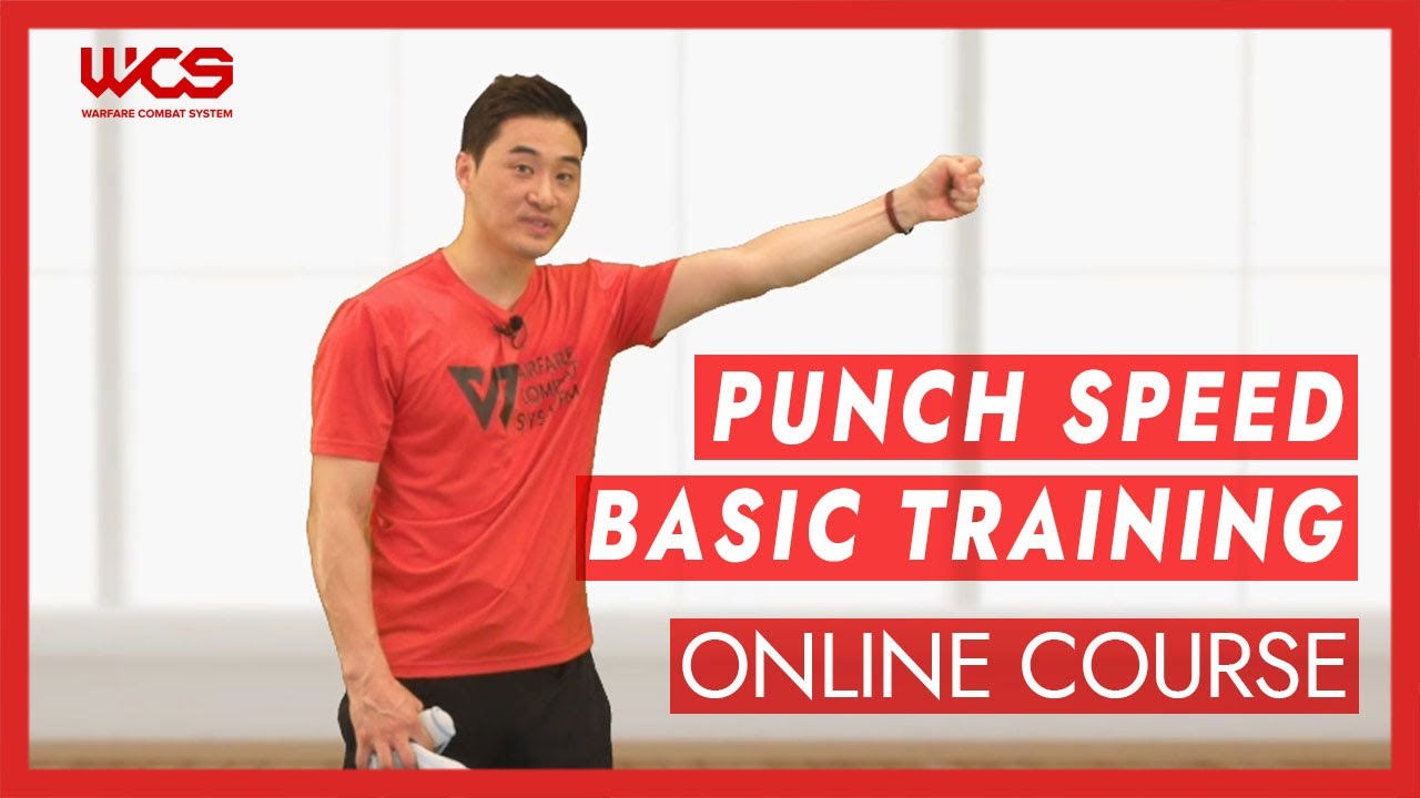 Speed Punching by 505 Online course - DK Yoo