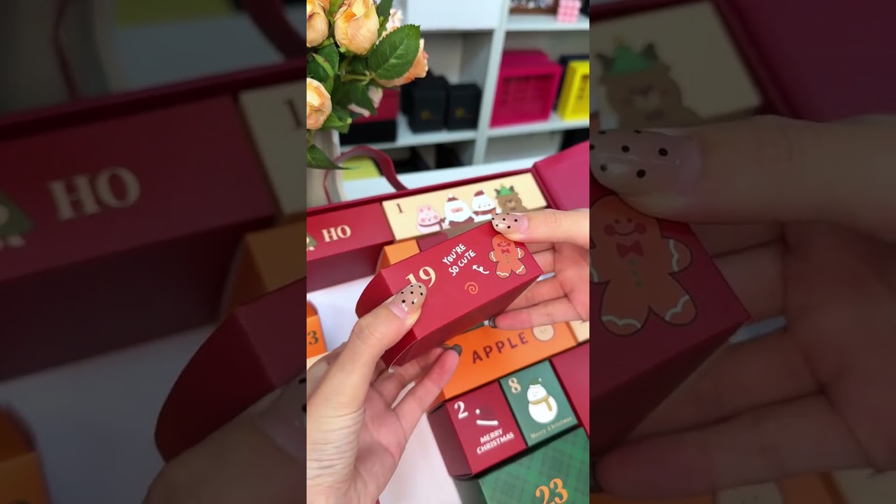 Unboxing the Bookish Advent Calendar 2025&ndash; and YES, every day has a tiny surprise inside.📚✨