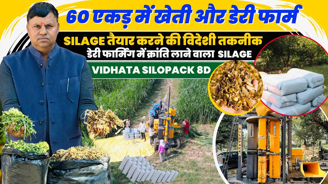 Silage की ब्राज़ीली तकनीक💥से 365 दिन हरा चारा🌽 डेयरी फार्मिंग का गेम चेंज 🐮बढ़ाएं दूध का Production