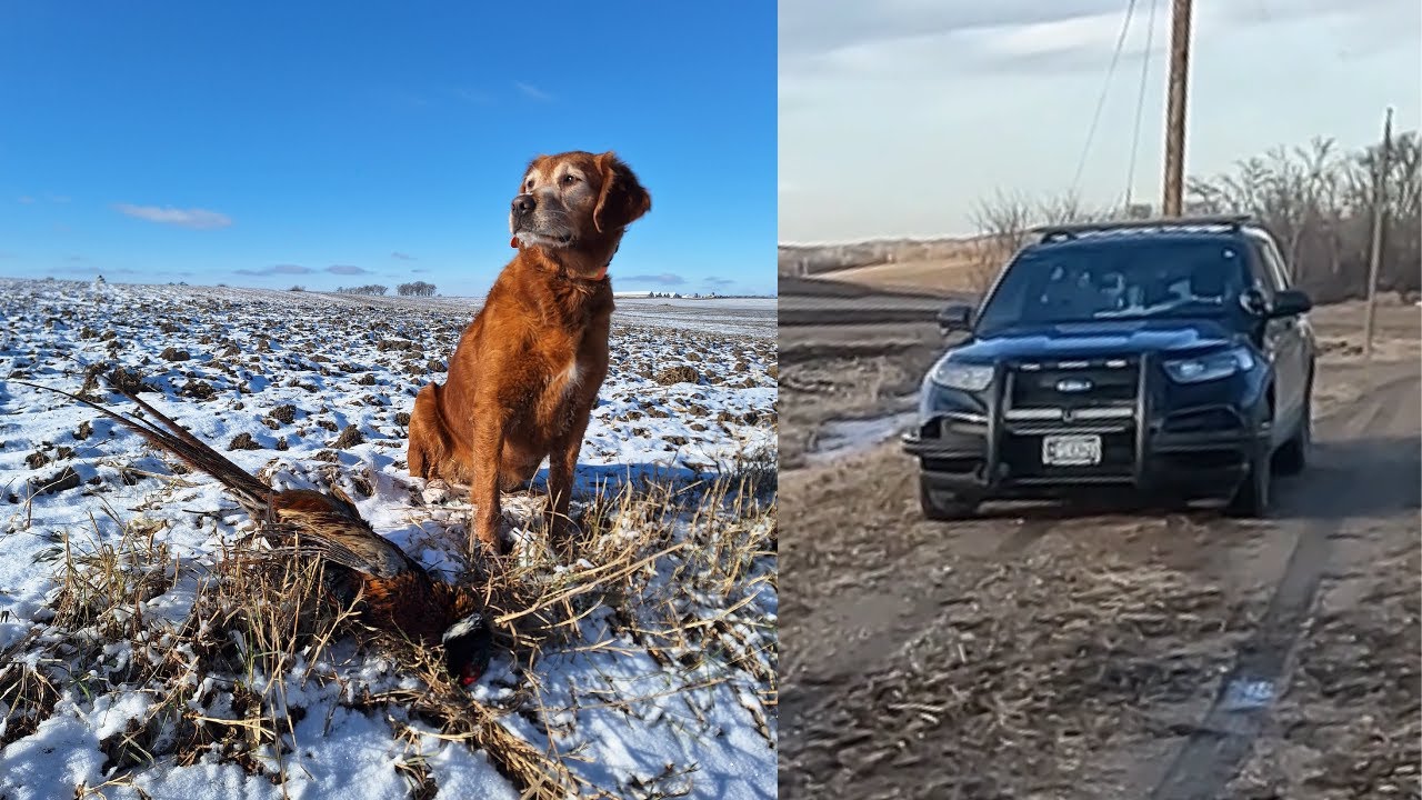 Private Land Pheasant Hunt. Guy calls Sheriff on me.
