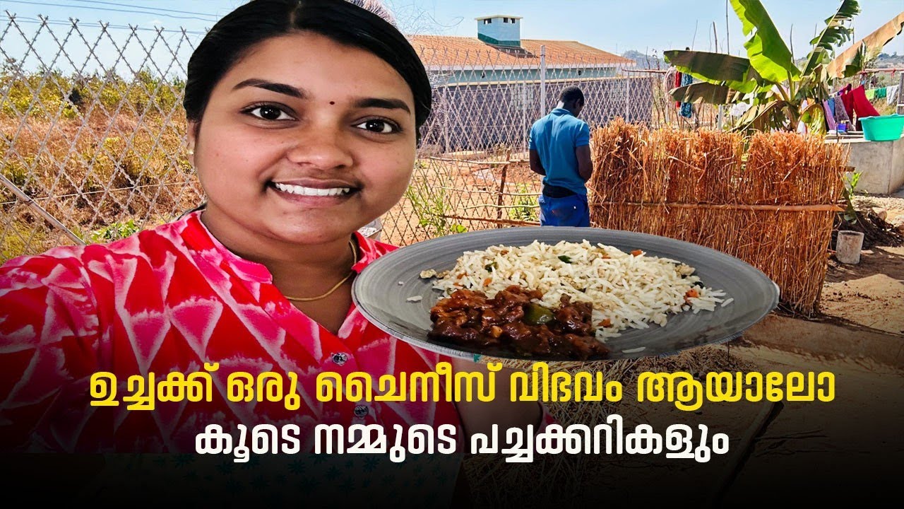 Daily vlog| Fried rice cooking vlog 🍛 LIFE OF ARUNSUMI ♥️