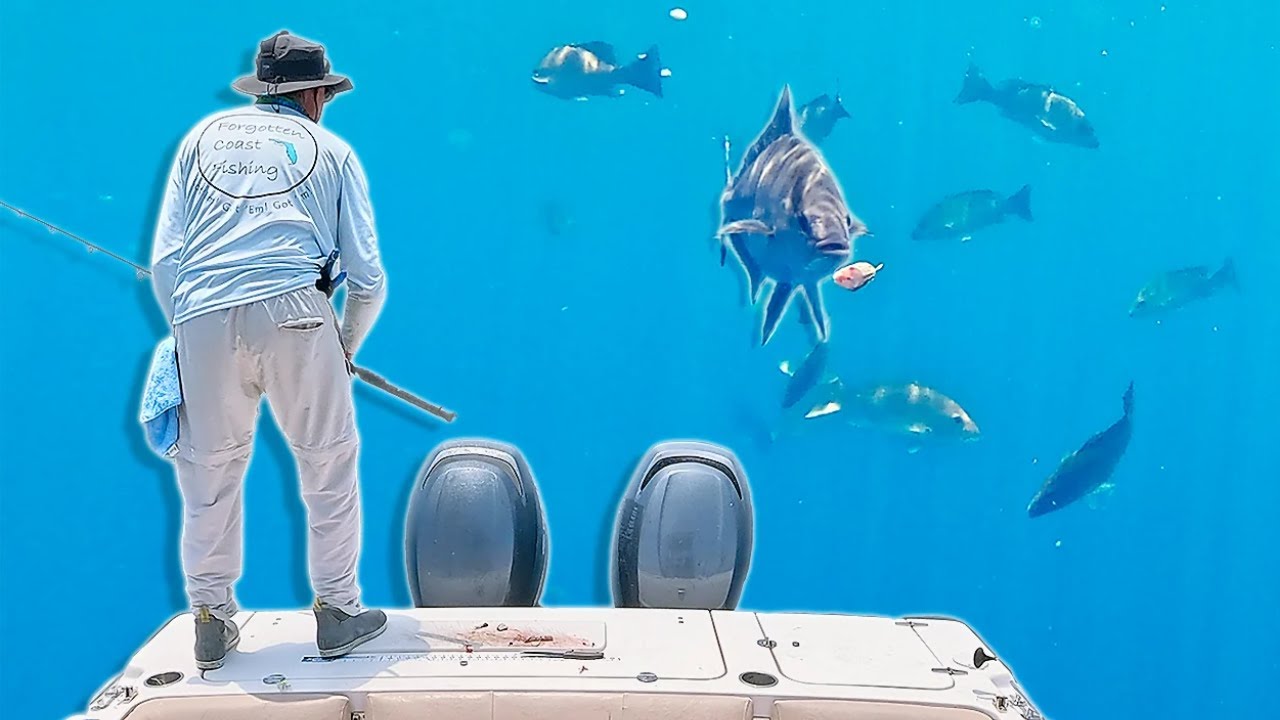 Sight Fishing OFFSHORE In 120ft of Water! [Tips and Techniques]